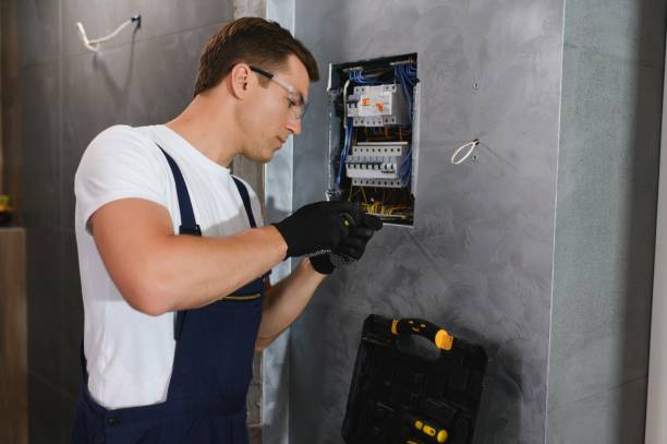 Best Electric Panel Repair  in Gulfport, FL